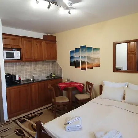 луксозно студио в - малко кътче от рая. Apartment Bansko